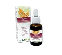 Gorse o Aulaga (Ulex europaeus) Remedios florales Naturalma - Gotas 30 ml - Extracto líquido sin alcohol - Esencias florales - Vegano y libre de alcohol