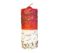 GOSHOPPING Velón herboreo Marcos León 16CM, El velón herboreo San Marcos León es Utilizado para el Poder Mental y la Justicia.