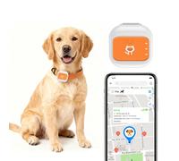 Goshyda Rastreador GPS para Mascotas, Seguimiento de Ubicación en Tiempo Real con Alertas SOS, para Perros y Gatos, 25 Días en Espera, a Prueba de Lluvia, Revisión de Soporte de Rutas (Versión