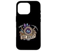 Got Rocks? Geode Crystal Rockhound Geologist Mining Fan Carcasa para iPhone 16 Pro