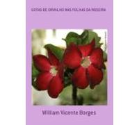 Gotas De Orvalho Nas Folhas Da Roseira (ebook)
