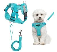 GOTDYBST Juego de arnés para perro: chaleco de malla transpirable y cómodo para mascotas, sin tirones, arnés ajustable para cachorros con tiras reflectantes, arneses Ruffwear para mascotas pequeñas y