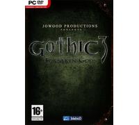 Gothic 3 Forsaken Gods [Importación italiana]
