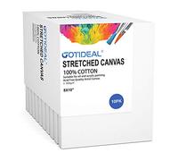 GOTIDEAL Lienzo estirado de 8 x 10 pulgadas, juego de 10 unidades, color blanco imprimado, 100% algodón, lienzos para pintar, verter acrílico, pintura al óleo, medios de arte secos y húmedos