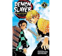 Demon Slayer: Kimetsu no Yaiba, Vol. 3