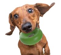 Goughnuts - Rubber Chew Toy Med .75 Anillo verde