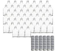 gouveo Juego de 48 botellas de vidrio de 40 ml, petaca con tapón de rosca plateado, mini botella de 0,04 l para llenar, botellas de vidrio para licor, whisky o como regalo (FF040S)