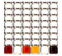 gouveo Set de 48 mini tarros de conserva redondos (0,04 l) con tapa Twist-Off plateada frascos de vidrio para especias mermelada muestras TO 43 (EGR040S)