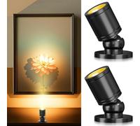 Gouzloyed 2 Piezas Mini focos LED Superficie Rotativo 360°Mini Spot Luz con Puerto USB 3000K Blanca Cálida Luz Regulable Adecuado para Armarios Pasillos Salas (2 Piezas-Blanco Cálido-Negro)