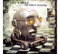 Gov T Mule - Life Before Insanity