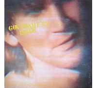 Government Issue - The Fun Just Never Ends [Vinyl LP] [Schallplatte]