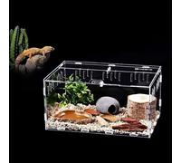 GOVNPJ Caja de Transparente Transporte de Acrílico,Terrario de Caracoles,Caja de alimentación para Reptiles, Reptiles Portátiles de Alimentación de Insectos (30cm x 20cm x 15cm)