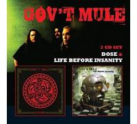 Gov't mule - Life before insanity/dose