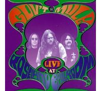 Gov'T Mule - Live At Roseland
