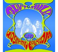 Gov't Mule - Live At Roseland Ballroom
