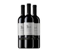 Goyenechea Centenario Cabernet Sauvignon San Rafael 75 cl Vino tinto (Caja de 3 Botellas de 75 cl)