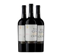 Goyenechea Quinta Generación Cabernet Sauvignon San Rafael 75 cl Vino tinto (Caja de 3 Botellas de 75 cl)