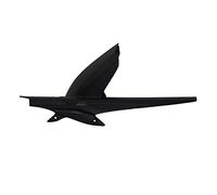 GP Kompozit Para Tiger 800 2015-2017 compatible guardabarros trasero guardabarros negro