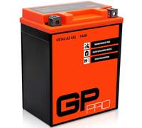 GP-PRO GB14L-A2 12V 14Ah GEL Batería de arranque (compatible con YB14L-A2 / 51411) (Sin necesidad de mantenimiento/Sellado) Moto Acumulador