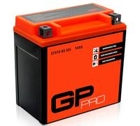GP-PRO GTX14-BS - Batería de arranque para motos, 12V, 14Ah, parecido a YTX14-BS / 51214, sin necesidad de mantenimiento