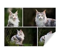 GP TONER Póster Personalizado Multi Collage de Fotos Sube Tus propias Fotos Diseño interiorismo 70x50 cm