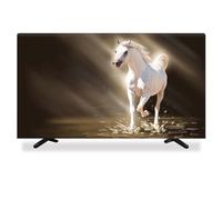 GPDNBIEU, Protector de pantalla TV interior 32-80 pulgadas Cubierta for televisor LCD LED Obra arte europea Decoración sala estar for el hogar Escritorio colgante Curvo Universal(C,40 43IN)