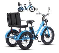 GplHAIN 24 Inch 3 Wheel Electric Bicycle for Adults & Elderly | with Seat & Multifunction Wide Tyres | LCD Display | Front Headlight | Carbon Steel | Heavy Duty Blue