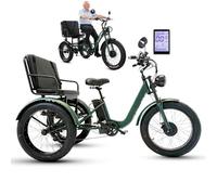 GplHAIN 3 Wheel Electric Bicycle for Adults & Elderly, Touring Bicycle with Seat & Wide Tyres, LCD Display, Front Headlight, Aluminum Alloy Frame, Capacity 150 Kg Green