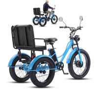 GplHAIN Bicicleta Eléctrica De 3 Ruedas De 24 Pulgadas para Adultos Y Personas Mayores, Triciclo De Nieve con Asiento/Sin Asiento, Pantalla LCD + Faro + Cuadro De Acero Al Carbono Blue-B