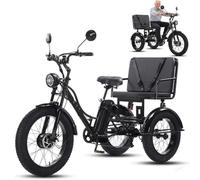 GplHAIN Bicicleta Eléctrica De 3 Ruedas De 24 Pulgadas para Adultos Y Personas Mayores, Triciclo De Nieve con Asiento/Sin Asiento, Pantalla LCD + Faro + Cuadro De Acero Al Carbono Black-B