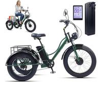GplHAIN Bicicleta Eléctrica De 3 Ruedas De 24 Pulgadas para Adultos Y Personas Mayores, Triciclo De Nieve con Asiento/Sin Asiento, Pantalla LCD + Faro + Cuadro De Acero Al Carbono Green-A