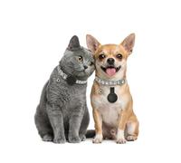GPS Gatos, Localizador GPS Perros, Posicionamiento Global en Tiempo Real, GPS Perros/Gatos Compatible con Sistemas iOS y Android, Sin Suscripción, Collar Ajustable, Resistente al Agua IPX6 - Gris