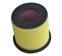 GQUIKGW Accesorios de filtros 1 Uds. Filtros De Aire De Repuesto para Motocicleta para Suzuki LT-A700 King para Quad 2006 2007