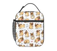 GQWJKSZ Bolsa de almuerzo con diseño de cachorros de pug divertidos y lindos, bolsa de almuerzo con aislamiento duradero, bolsa de mano reutilizable para adultos