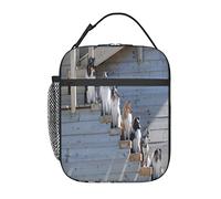 GQWJKSZ Bolsa de almuerzo para perros Border Collie Shetland Sheepdogs Alaska, duradera y aislada, reutilizable para adultos