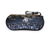 GQWJKSZ Pingüino portátil en Tierra Del Fuego, gafas de sol con hebilla de bloqueo, bolsa suave, funda de gafas con cremallera de tela de buceo ultraligera