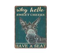 GQWJKSZ Retro Teal Why Hello Sweet Cheeks Donkey Tin Signs, Love Donkey Sign for Home, Funny Vintage Metal Sign Plaqu Poster Wall Art Kitchen Garden Bathroom Decor, 30x40 cm, Material_tin 3