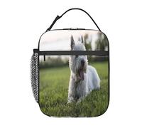 GQWJKSZ Westie Lawn West Highland White Terrier - Bolsa de almuerzo para perros, duradera y aislada, reutilizable para adultos