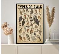 GQWJKSZ Ypes of Owls Owls Knowledge Owl Decor Owl Lover Art Barn Owl Forest Lovers Owls Letrero de metal de estaño para decoración de café, escuela, bar, 12.0 x 8.0 in