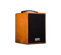 GR GUITAR Amplificador Combo Acústico WD Acoustic Madera 5" para Guitarra