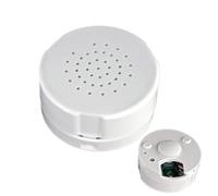 Grabadora de sonido para peluche - Mini grabadora de 1 pulgadas | Módulo de sonido ABS - Dispositivo de grabación compacto hasta 60 segundos para peluches y regalos, copia de seguridad del sonido