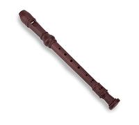 Grabadora Musical de Flauta, 8 Agujeros Grabadora Soprano de Tono Alto Flauta Instrumentos de Plástico Tubo de Caña