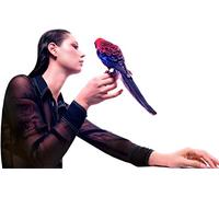 Grace Cummings - Storm Queen [Vinilo]