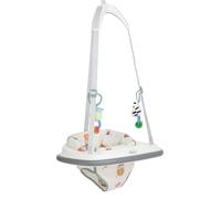 Graco Puente de parachoques para puerta. Rebota, juega y entretiene a tu bebé. Adecuado de 6 meses a 12 meses (máx. 12 kg), Up & Away Fashion