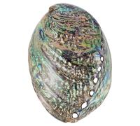 GRADENEVE Conchas Abulón Naturales con Brillo Deslumbrante Accesorios Delicados para Joyería DIY para Pulseras y Collares Hechos Mano