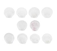 GRADENEVE Conchas de Vieira Material Sintético de Color Kit de 10 Adecuado para Pintura y Servir Hogar para Manualidades y en Fiestas