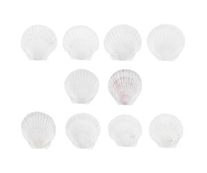 GRADENEVE Conchas de Vieira Material Sintético de Color Kit de 10 Adecuado para Pintura y Servir Hogar para Manualidades y en Fiestas
