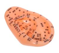 GRADENEVE Modelo Anatómico De Oreja Puntos De Acupuntura Herramienta Didáctica Para Masaje y Reflexología Para Práctica Medicina Tradicional