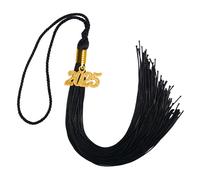 GraduaciσnMall Borla de graduaciσn de un solo color con dije del aρo 2025, 9 pulgadas, negro