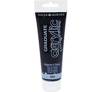Graduate - Pintura acrílica (120 ml), color gris